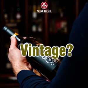 Cách đọc vintage: rượu vang đỏ năm nào ngon?