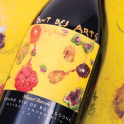 Rượu Vang Pháp Pont des Arts Gevrey Chambertin Miquel Barceló– Khi Pinot Noir Trở Thành Tác Phẩm Nghệ Thuật | Rượu Vang Wine Home Pont des Arts Gevrey Chambertin Miquel Barceló