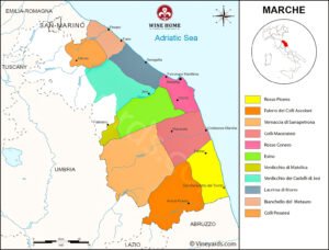 VÙNG RƯỢU VANG MARCHE