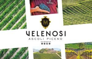 Velenosi Vini