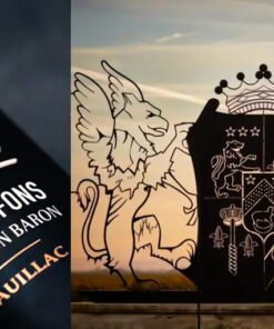 Rượu vang Pháp Les Griffons de Pichon Baron 2015
