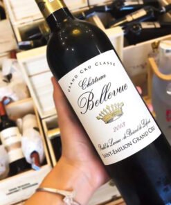 Rượu Vang Pháp Chateau Bellevue 2013