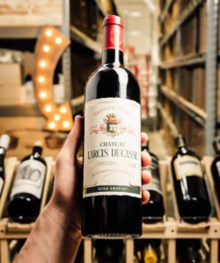 Rượu vang Pháp Chateau Larcis Ducasse 2013