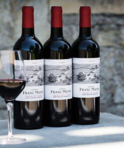 Rượu vang Pháp Chateau Franc Mayne 2018