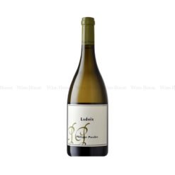 Rượu Vang Trắng Philippe Pacalet Ladoix Blanc
