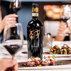 Rượu Vang Ý Ludi Velenosi DOCG – Siêu phẩm mạnh mẽ từ vùng Marche | Rượu Vang Wine Home Rượu Vang Ý Ludi Velenosi DOCG