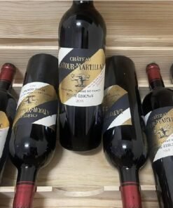 Chateau Latour Martillac 2019