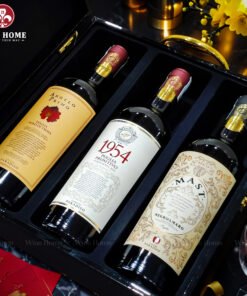 Hộp quà rượu vang 3 chai BST Cantine Paradiso