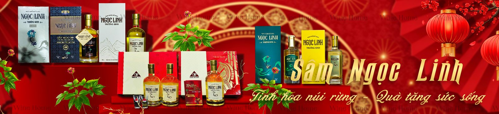 Quà tặng Sâm Ngọc Linh