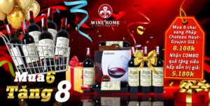 CHƯƠNG TRÌNH ƯU ĐÃI: MUA 6 ĐƯỢC 8 | ƯU ĐÃI SINH NHẬT WINE HOME 4 TUỔI