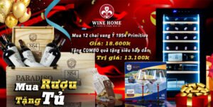 Sinh Nhật WineHome 4 Tuổi | Combo Mua 12 Chai Vang Ý Tặng Tủ Rượu Adela 28 Chai – Ưu Đãi VIP