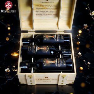 Hộp Quà Rượu Vang 6 Chai Feudi Salentini Avalon Primitivo di Manduria Old Vines