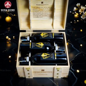 Hộp Quà Rượu Vang 6 Chai Feudi Salentini Victory Primitivo Salento