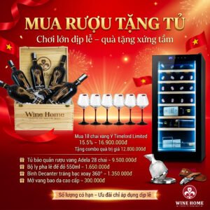 Mua Rượu Tặng Tủ Bảo Quản – Combo Đẳng Cấp Dịp 30/4 Tại Wine Home