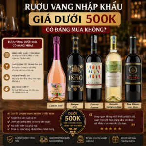 Rượu Vang Nhập Khẩu Giá Dưới 500K Có Đáng Mua Không? Sự Thật Bạn Nên Biết