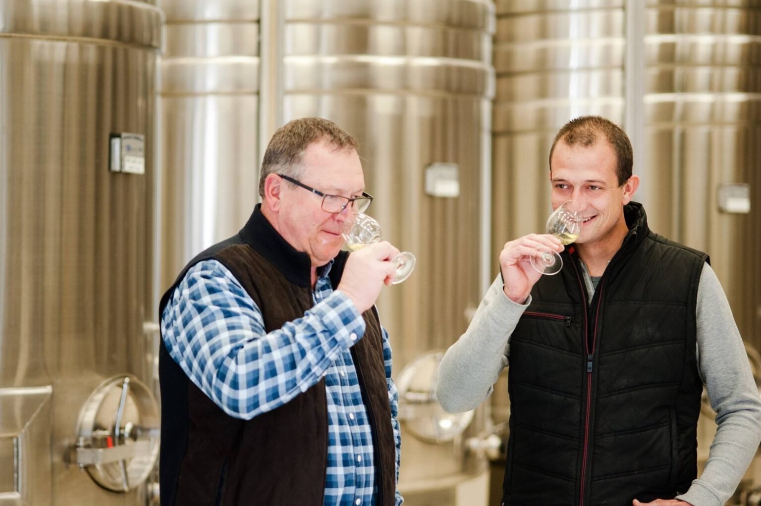 Domaine Hamelin – Nhà sản xuất rượu vang Chablis chuẩn mực từ Burgundy