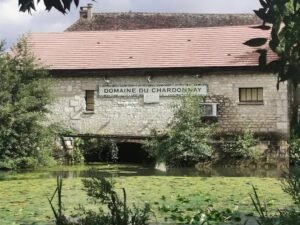 Domaine du Chardonnay