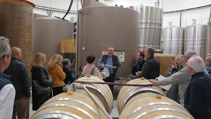 Domaine Hamelin – Tinh hoa rượu vang Chablis từ trái tim Burgundy