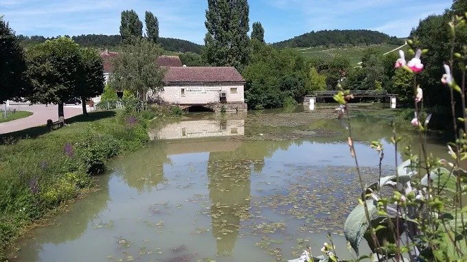 Domaine du Chardonnay