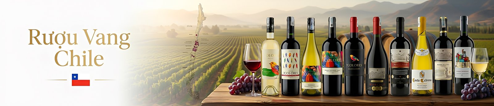 Rượu vang Chile – Giá tốt, chất lượng cao