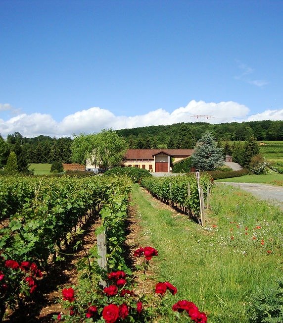 Domaine de Rotisson
