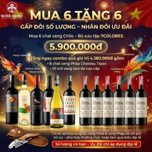 Mua 6 Tặng 6 – Ưu Đãi Rượu Vang Cực Sốc Dịp Lễ 30/4