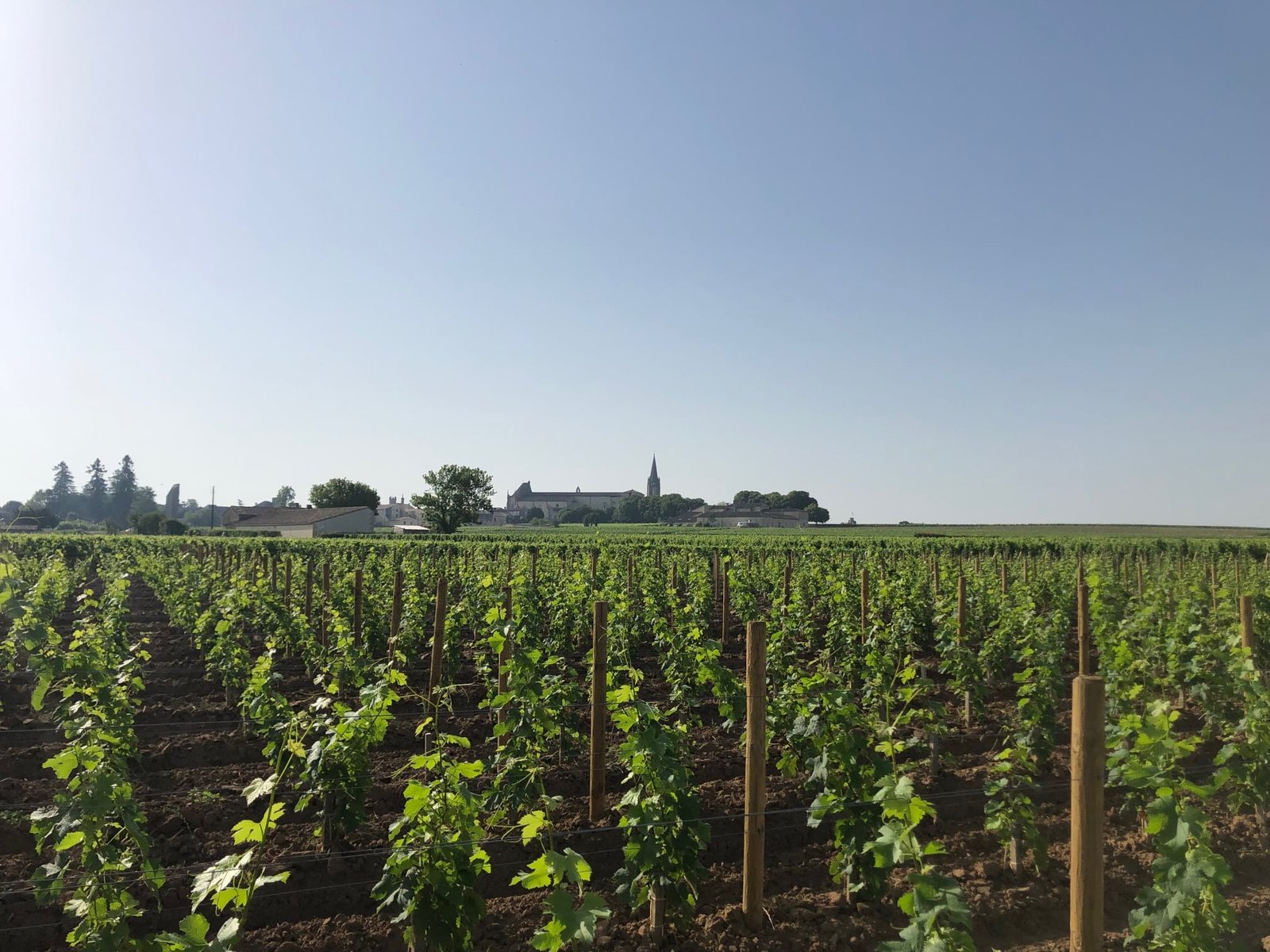 Château La Grâce Dieu – Thương Hiệu Rượu Vang Pháp Mang Đậm Dấu Ấn Bordeaux | Rượu Vang Wine Home Château La Grâce Dieu – Thương Hiệu Rượu Vang Pháp Mang Đậm Dấu Ấn Bordeaux