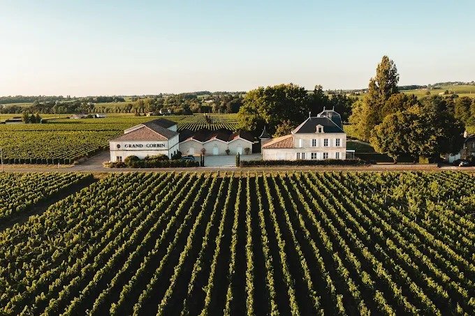 Château Grand Corbin – Di Sản Lịch Sử Giữa Vùng Đất Saint-Émilion Danh Giá