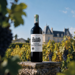 Rượu Vang Pháp Château Grand Corbin 2015 Grand Cru Classé Saint-Émilion