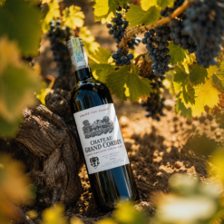Rượu Vang Pháp Château Grand Corbin 2015 Grand Cru Classé Saint-Émilion