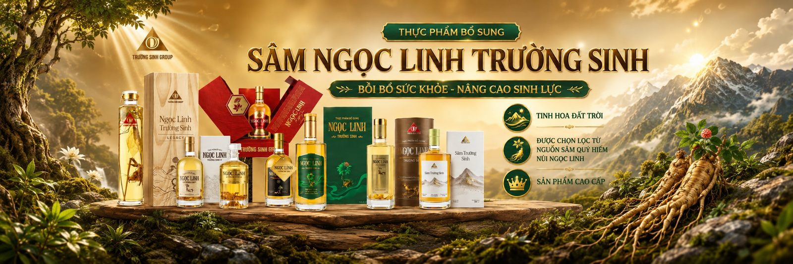 Sâm Ngọc Linh Trường Sinh