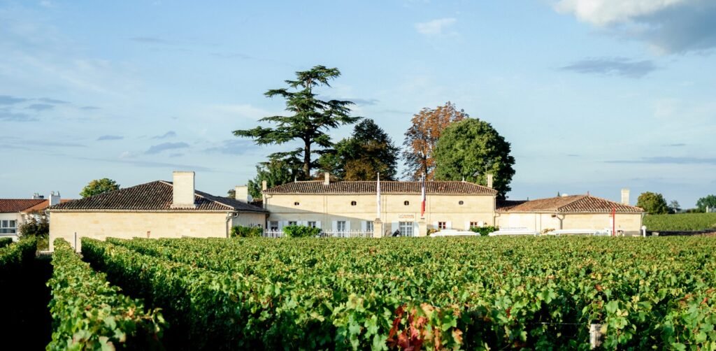Château La Couspaude – Grand Cru Classé Lịch Sử Tại Trung Tâm Saint-Émilion | Rượu Vang Wine Home Château La Couspaude – Di Sản Grand Cru Classé Giữa Trái Tim Saint-Émilion