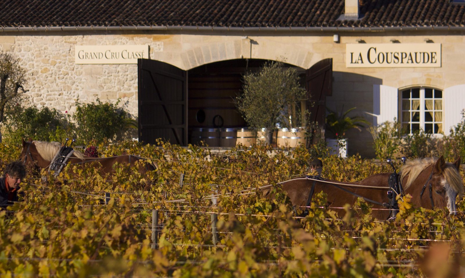 Château La Couspaude – Grand Cru Classé Lịch Sử Tại Trung Tâm Saint-Émilion | Rượu Vang Wine Home Château La Couspaude – Di Sản Grand Cru Classé Giữa Trái Tim Saint-Émilion
