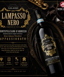 Rượu vang Ý Lampasso Nero Appassionato – Vang Ý Appassimento Đậm Đà, Sang Trọng