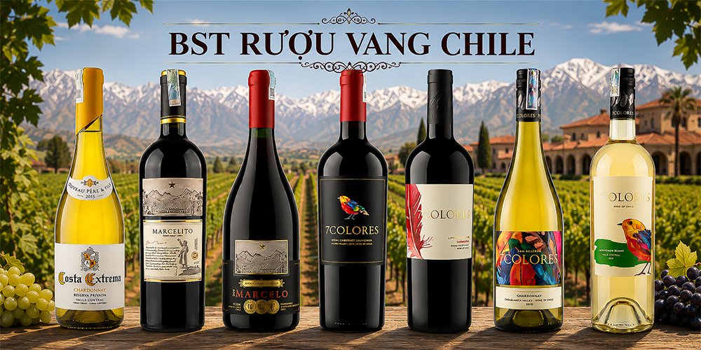 BST Rượu vang Chile nhập khẩu chính hãng