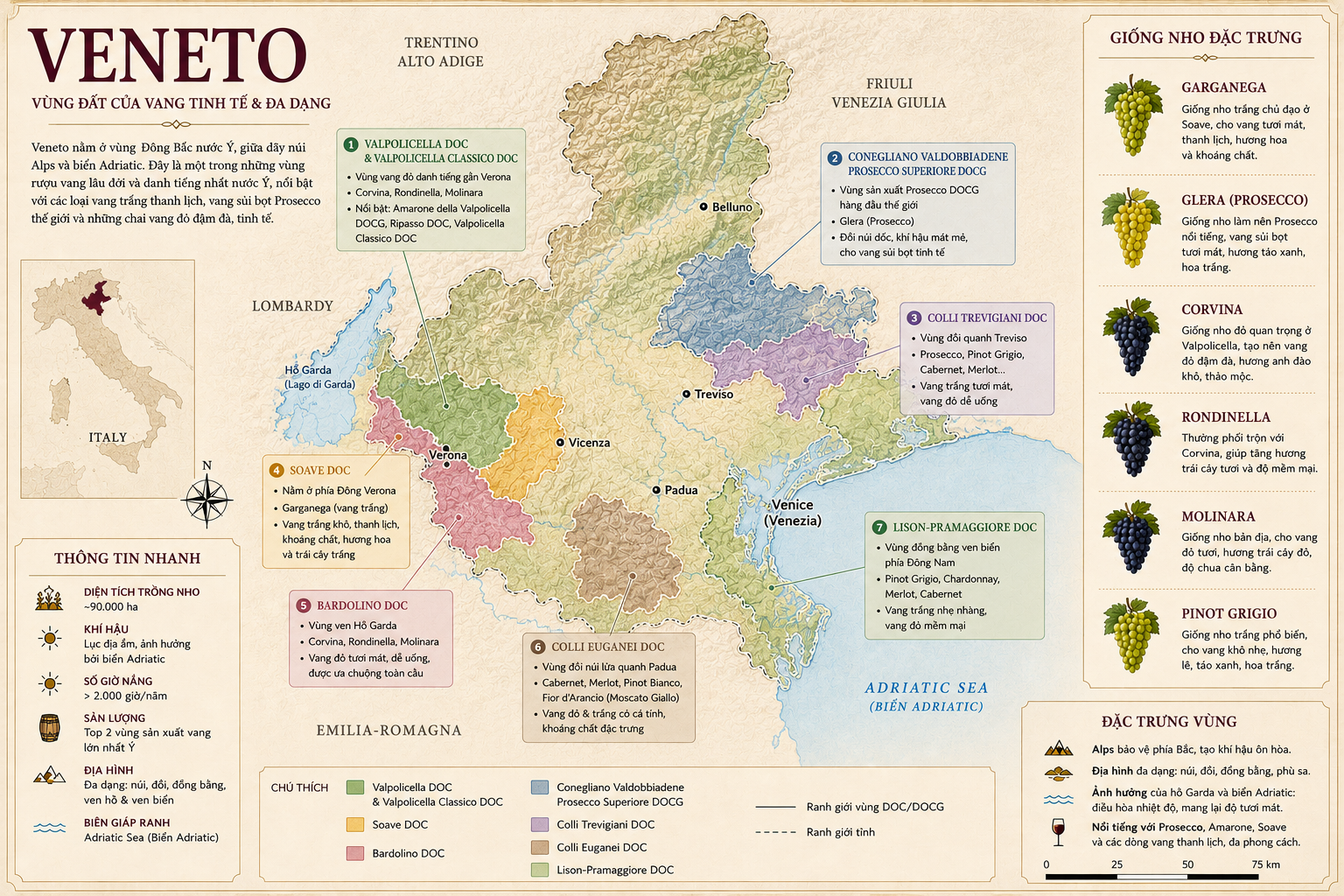 Bản đồ rượu vang Veneto
