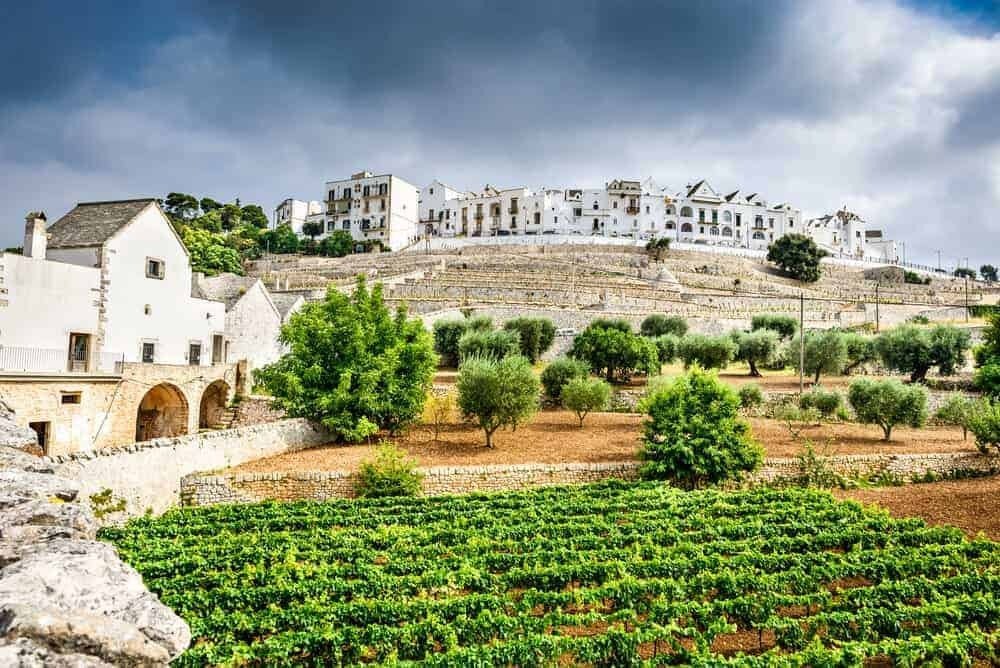 Các vườn nho làm rượu vang Puglia