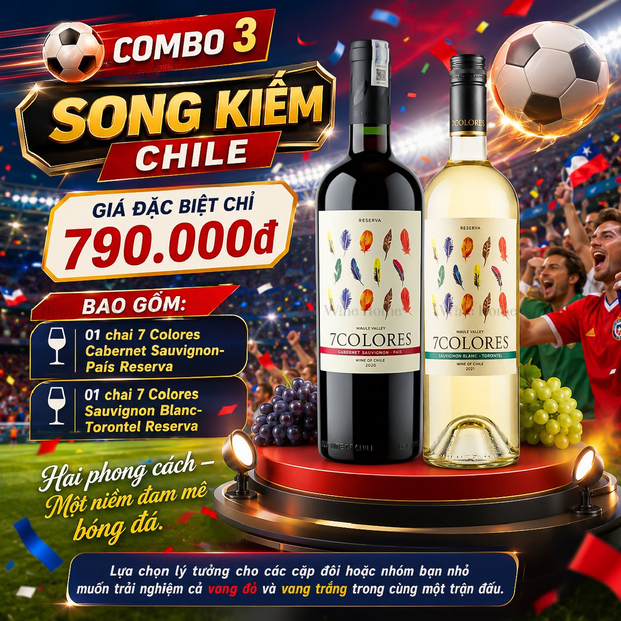 WINE HOME WORLD CUP 2026 – Combo Rượu Vang & Bia Nhập Khẩu Ưu Đãi Xuyên Suốt Mùa Giải | Rượu Vang Wine Home COMBO 3 – SONG KIẾM CHILE