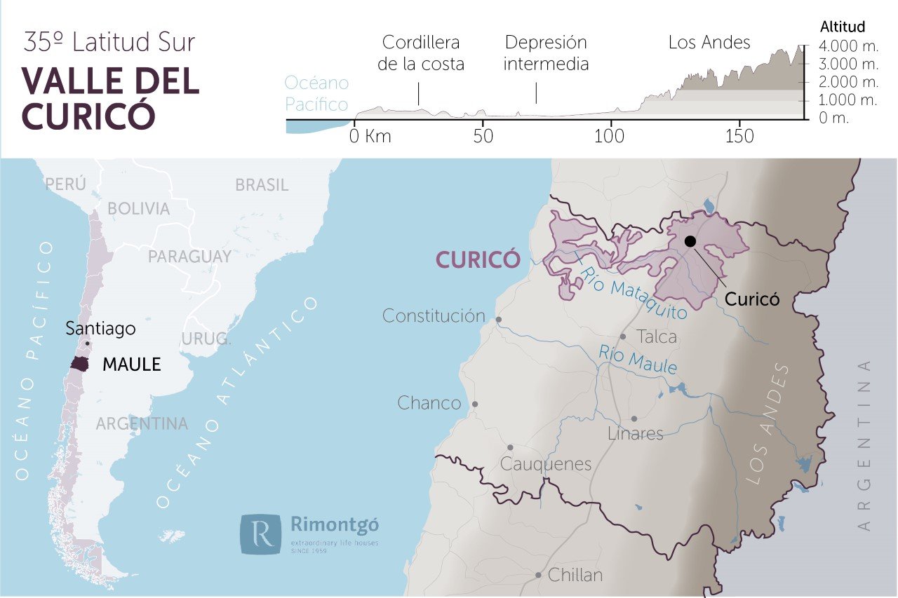 Bản đồ rượu vang Curico Valley