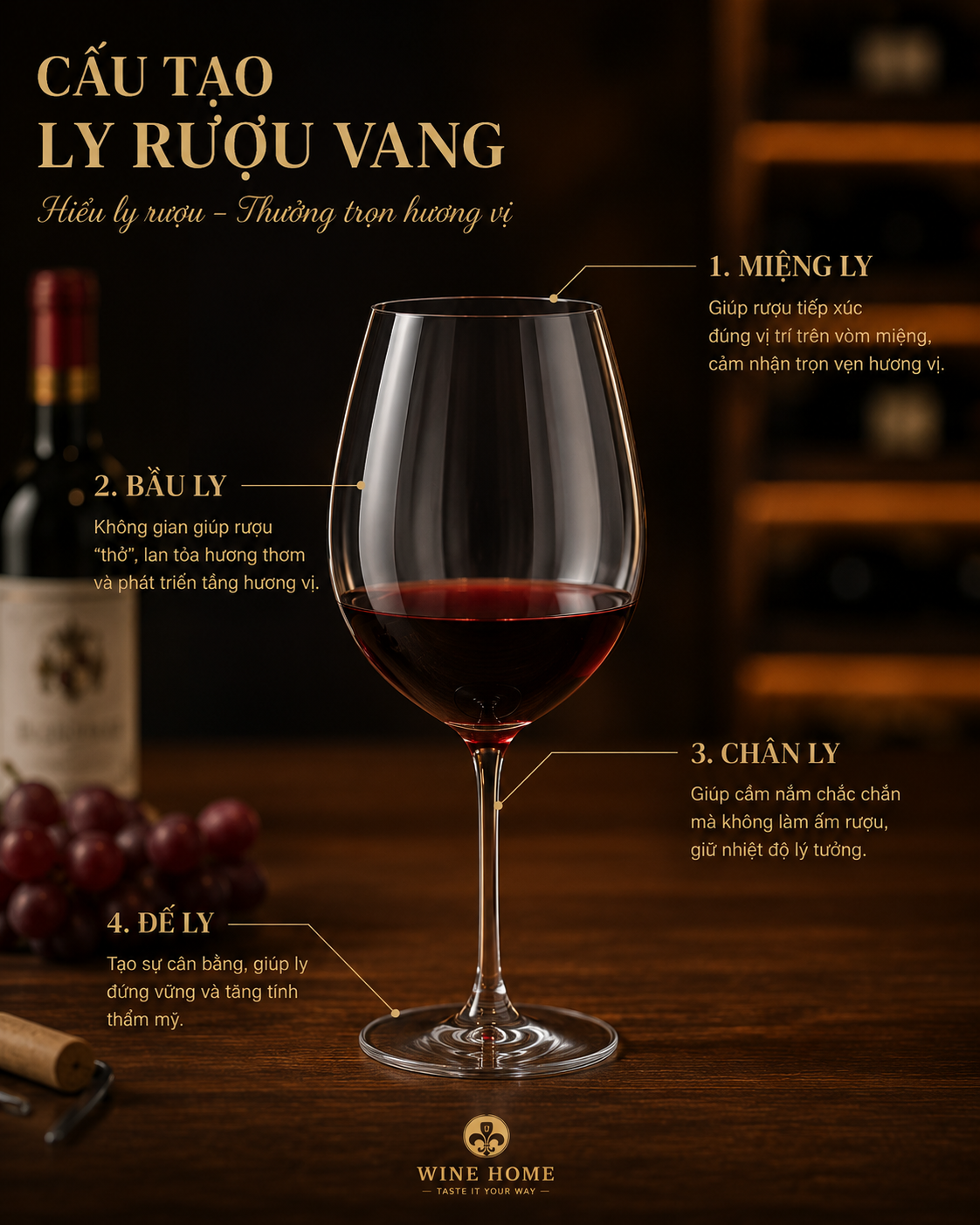 Cấu tạo của ly rượu vang