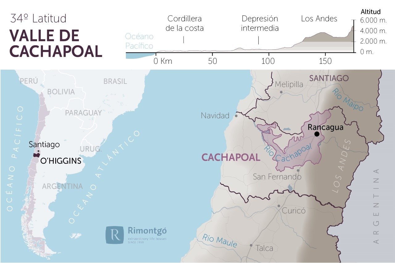 Rượu Vang Cachapoal Valley Chính Hãng – Rượu Vang Chile Nhập Khẩu Từ Thung Lũng Cachapoal