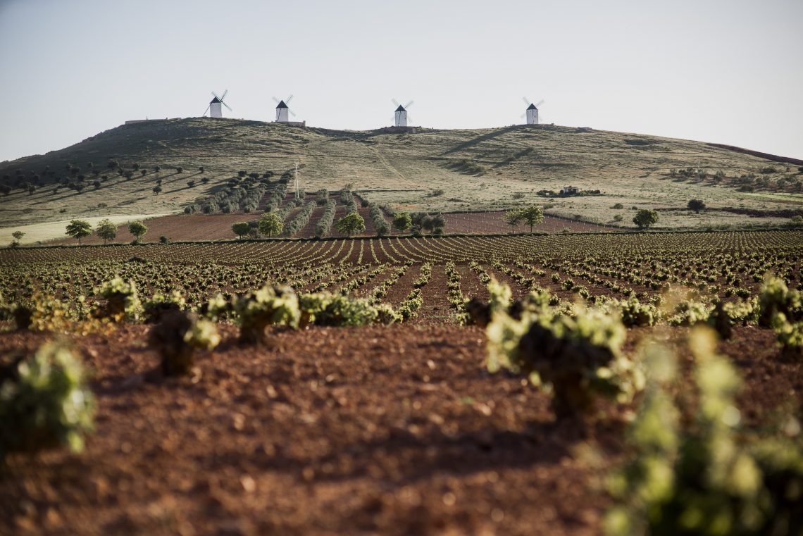 Vùng rượu vang Castilla-la Mancha